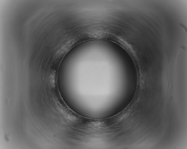 X0000100870065200806271123