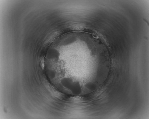 X0000100870069200806271123