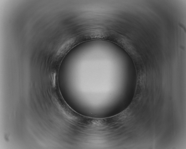 X0000100870070200806271123