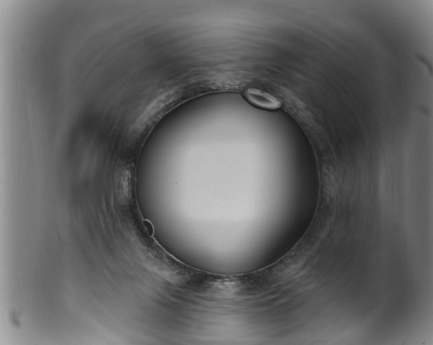 X0000100870071200806271123