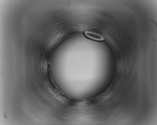 X0000100870072200806271123