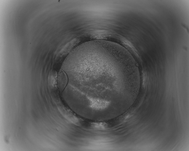 X0000100870073200806271123