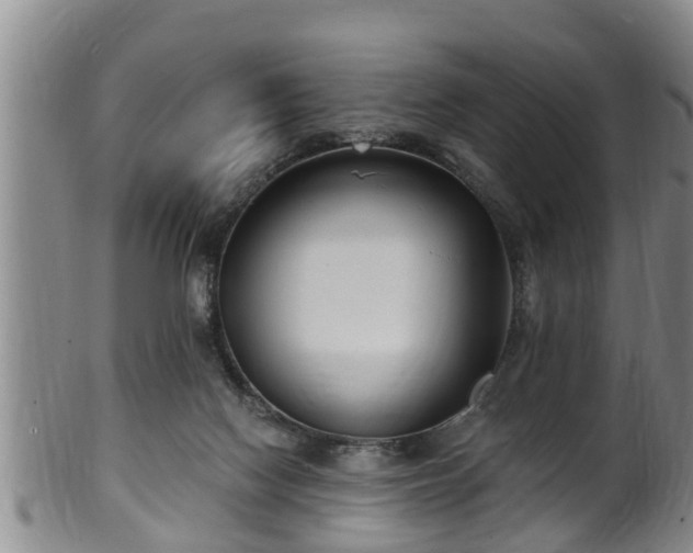 X0000100870074200806271123