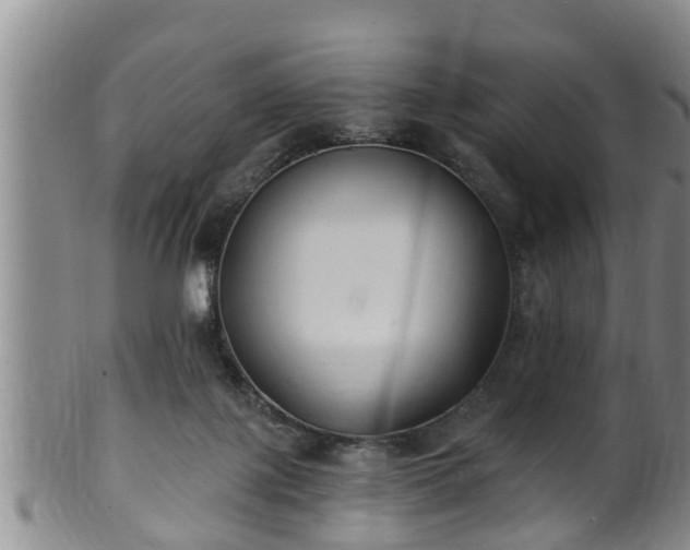 X0000100870075200806271123