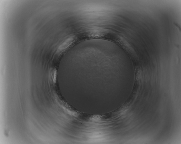 X0000100870076200806271123