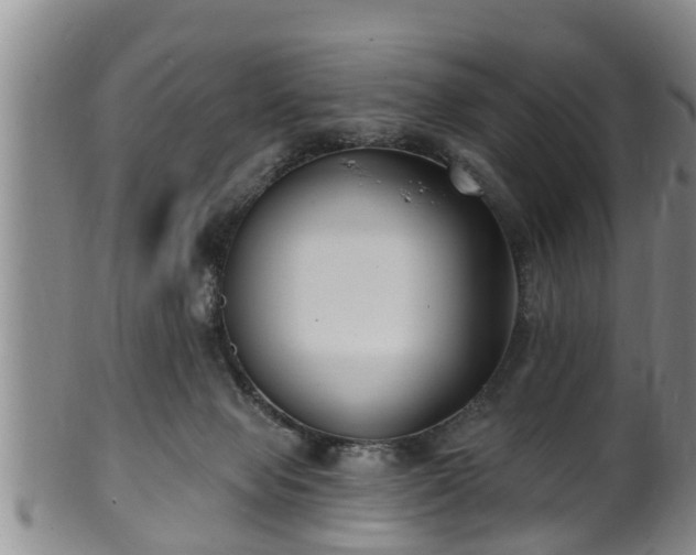 X0000100870077200806271123