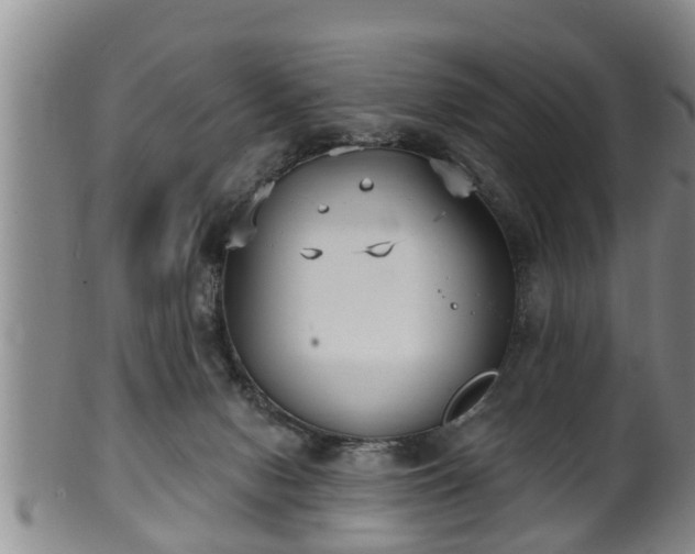 X0000100870078200806271123