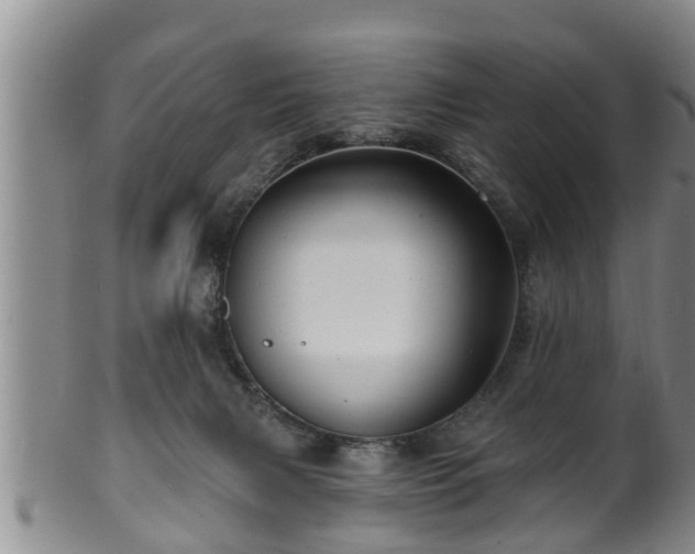 X0000100870079200806271123