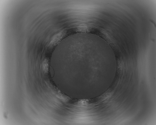 X0000100870080200806271123