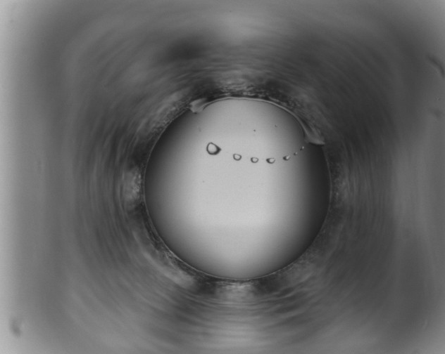 X0000100870081200806271123