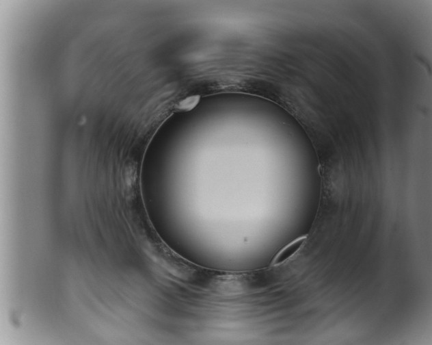 X0000100870082200806271123