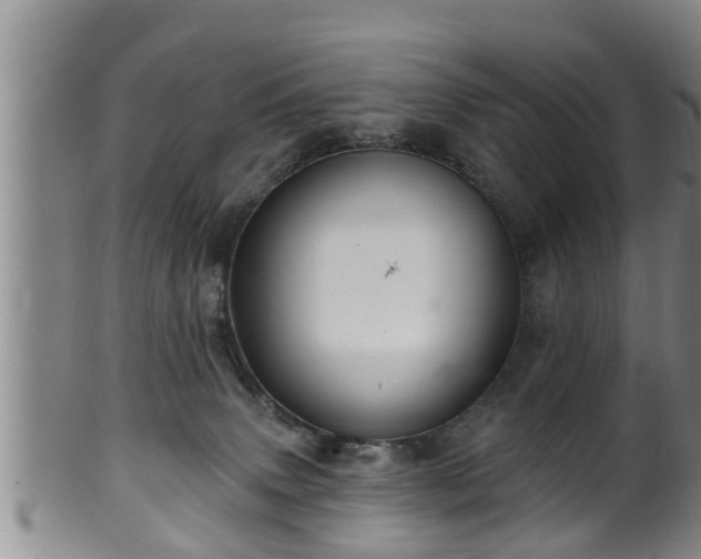 X0000100870083200806271123