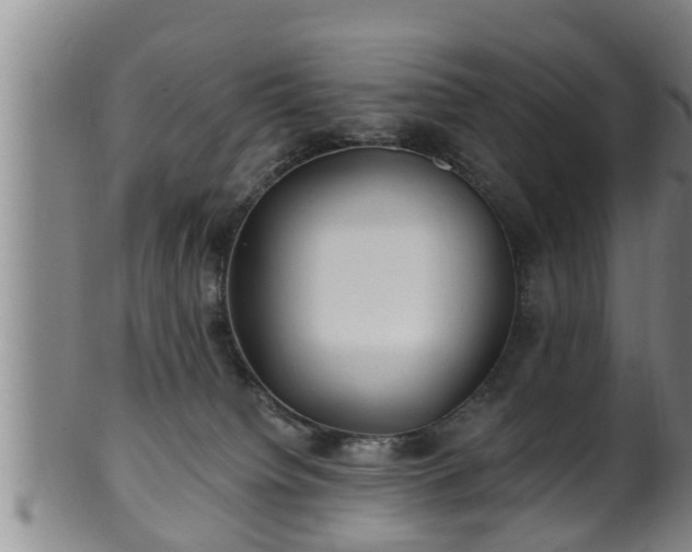 X0000100870084200806271123