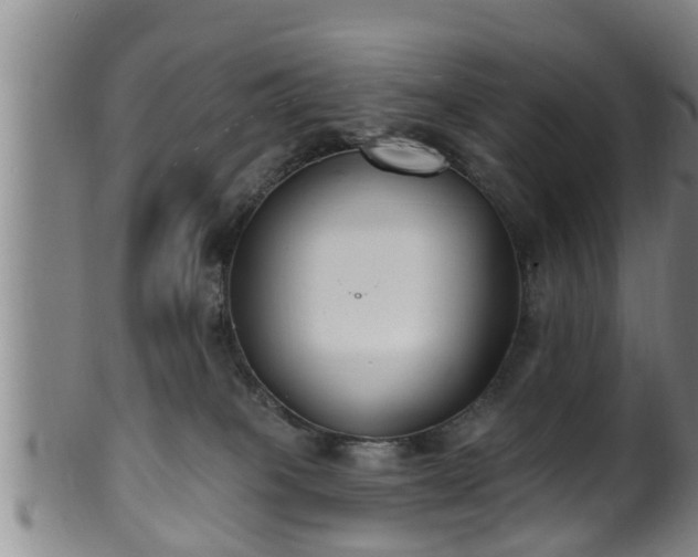 X0000100870085200806271123