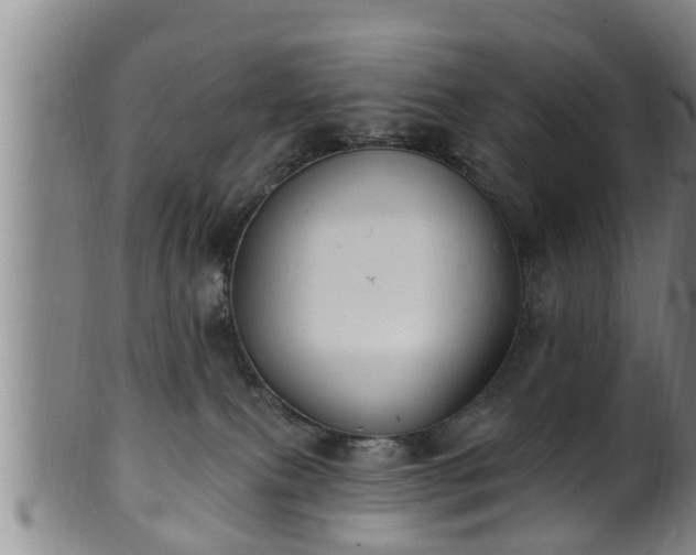 X0000100870087200806271123