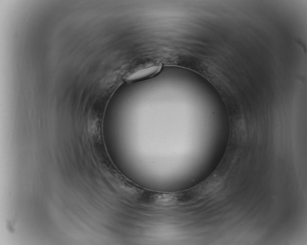 X0000100870088200806271123