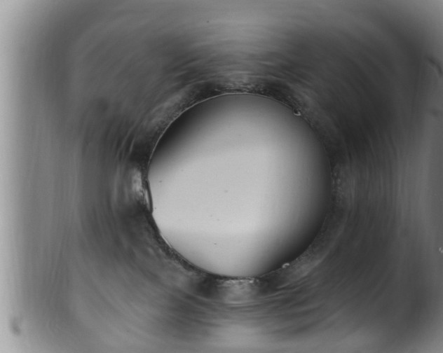 X0000100870089200806271123