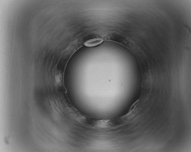 X0000100870090200806271123