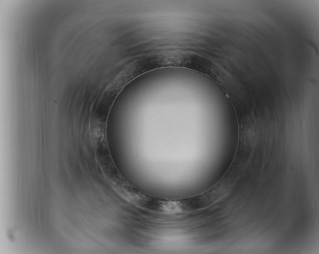 X0000100870091200806271123