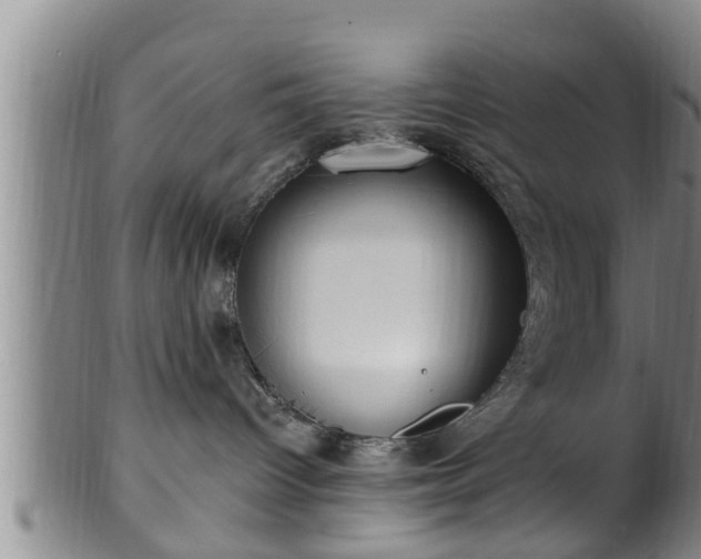 X0000100870096200806271123