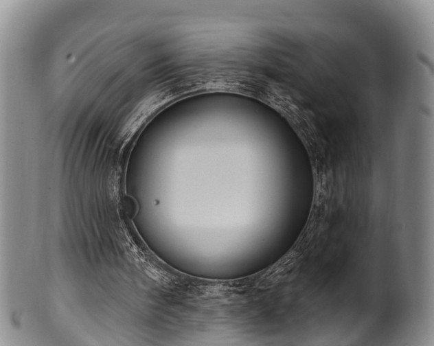 X0000100870098200806271123