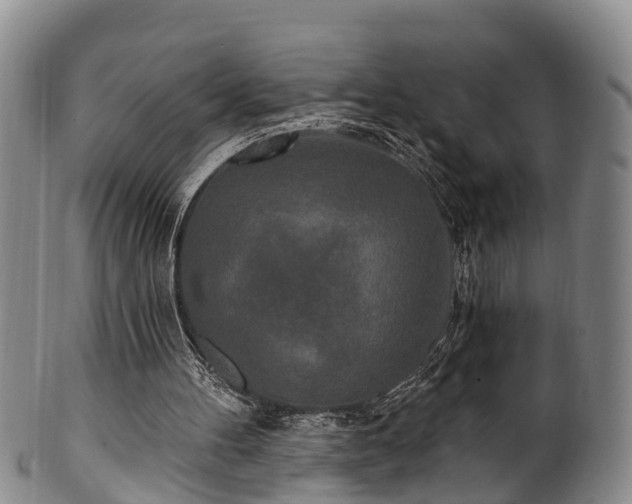 X0000100870100200806271123