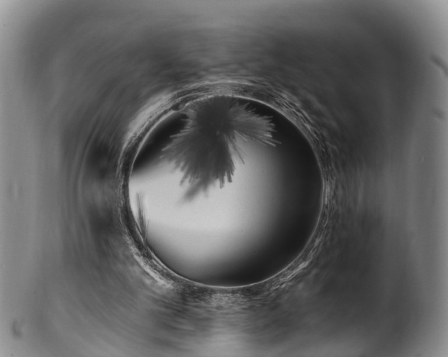 X0000100870101200806271123