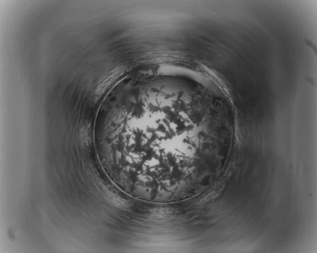 X0000100870105200806271123