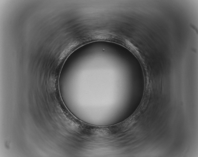 X0000100870106200806271123