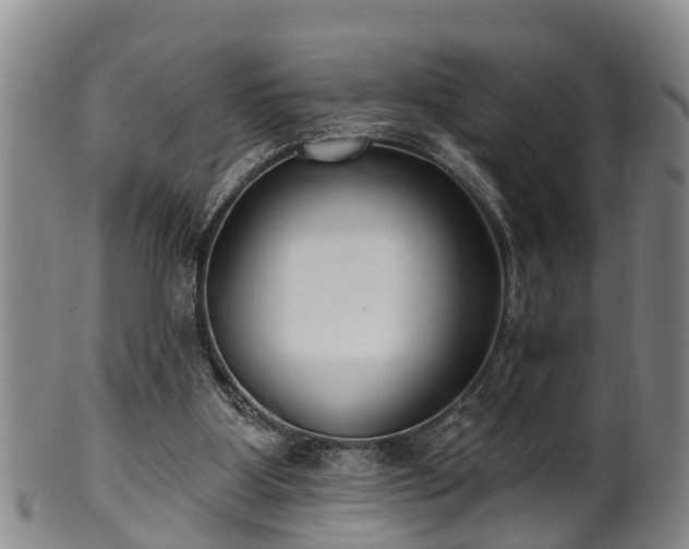 X0000100870107200806271123