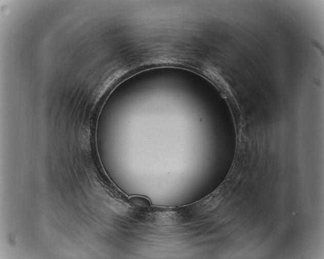 X0000100870108200806271123