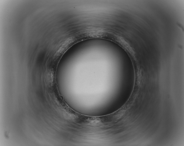 X0000100870113200806271122