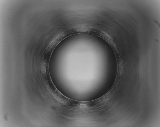 X0000100870114200806271122