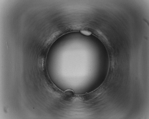 X0000100870115200806271122