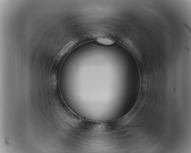 X0000100870116200806271122