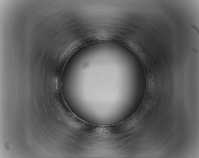 X0000100870117200806271122