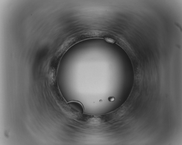 X0000100870119200806271122