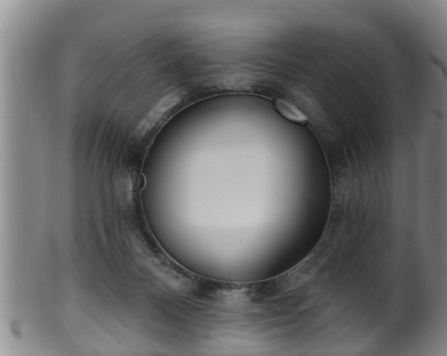 X0000100870120200806271122