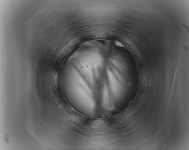 X0000100870123200806271122