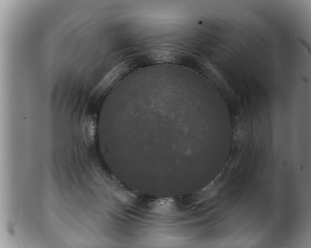 X0000100870124200806271122