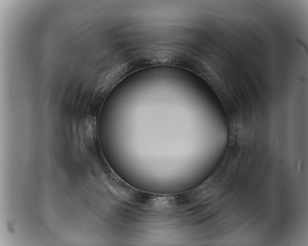 X0000100870126200806271122