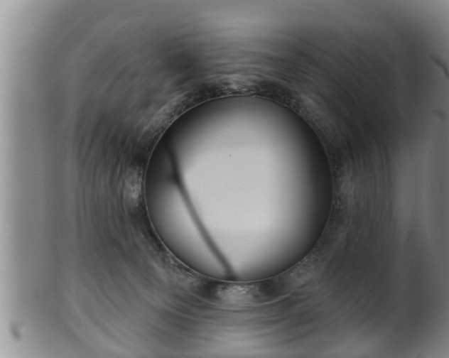 X0000100870129200806271122