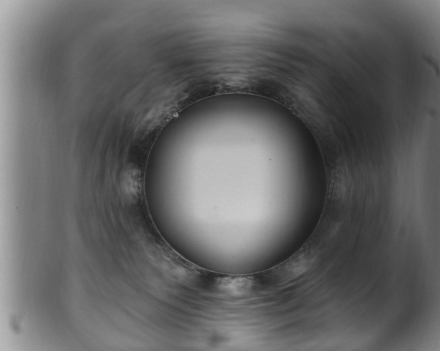 X0000100870135200806271122