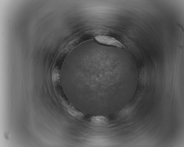 X0000100870137200806271122