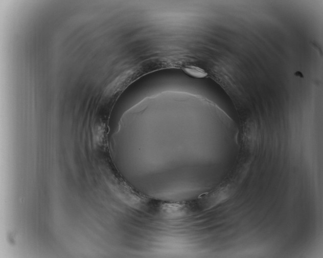 X0000100870139200806271122