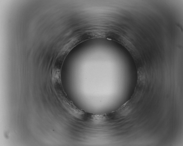 X0000100870141200806271122