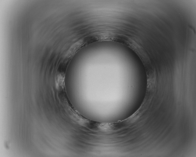 X0000100870142200806271122