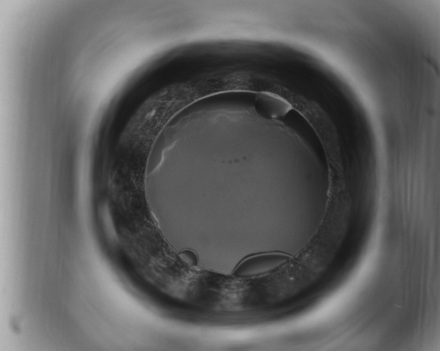 X0000100870143200806271122