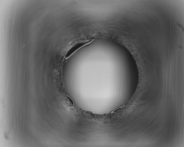 X0000100870144200806271122