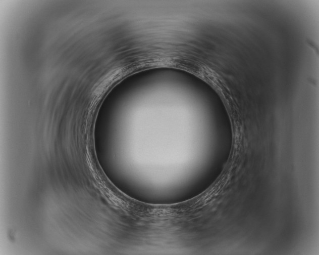 X0000100870145200806271121